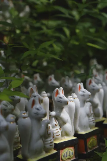 Sasuke Inari Shrine, Kamakura