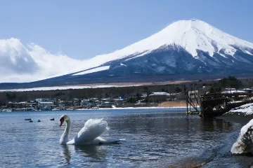 Yamanakako